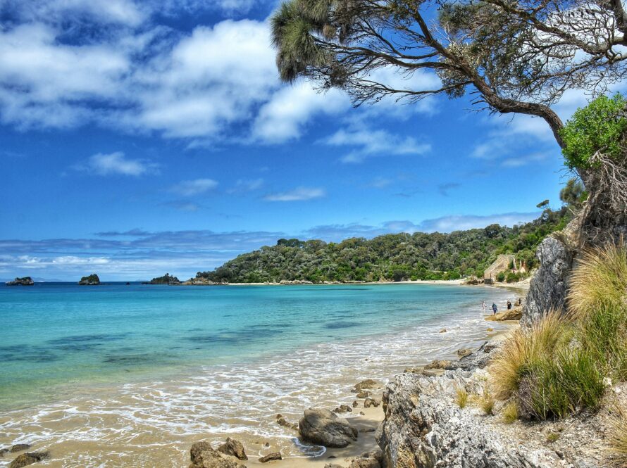 wind-and-water-adventures-the-ultimate-guide-to-sailing-around-torontos-island-paradise